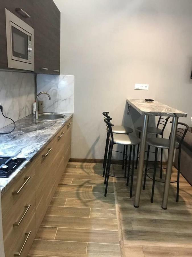 New Appartment-Studio Іn The Center Of Leopoli Esterno foto