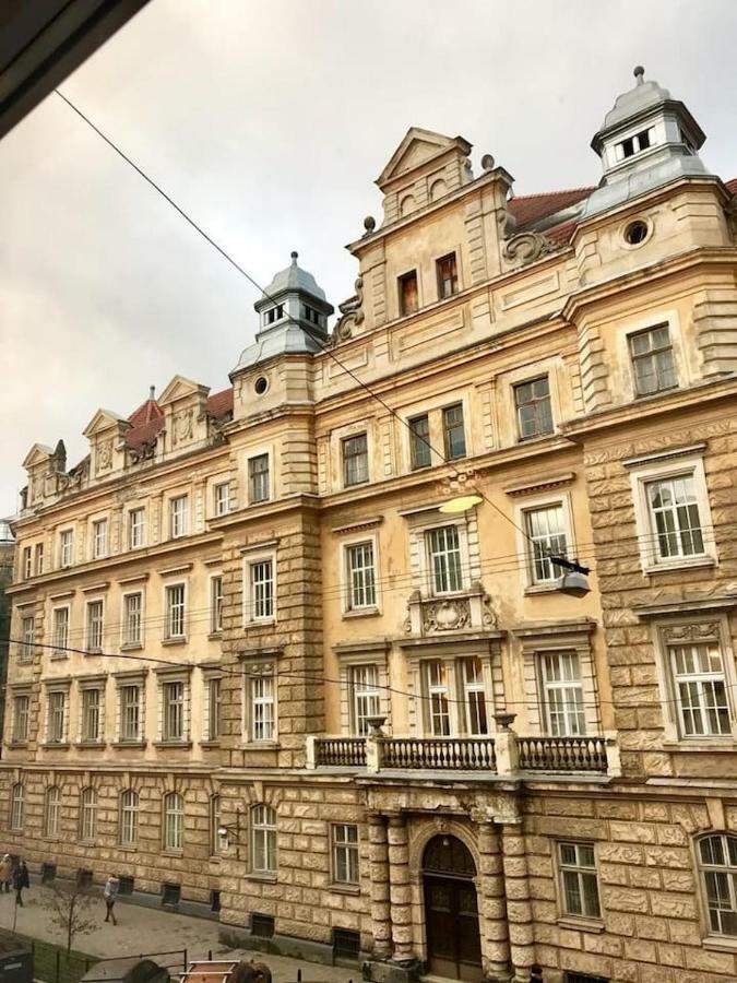 New Appartment-Studio Іn The Center Of Leopoli Esterno foto